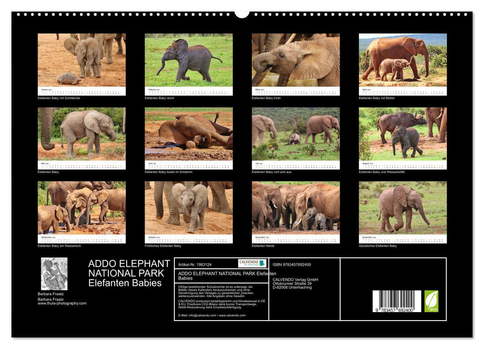 ADDO ELEPHANT NATIONAL PARK Elefanten Babies (CALVENDO Premium Wandkalender 2026)