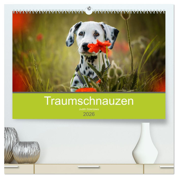 Traumschnauzen (CALVENDO Premium Wandkalender 2026)