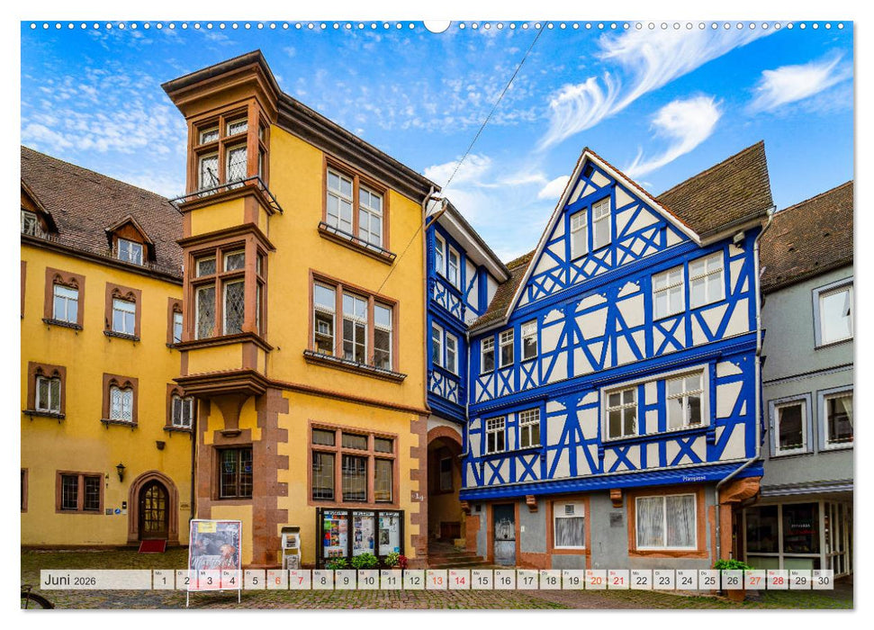 Wertheim Impressionen (CALVENDO Premium Wandkalender 2026)