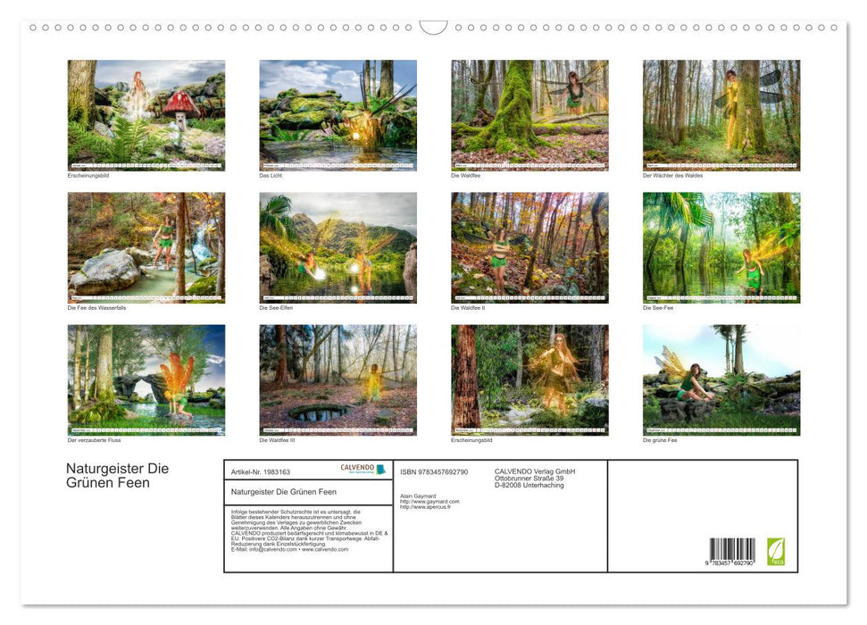 Naturgeister Die Grünen Feen (CALVENDO Wandkalender 2026)