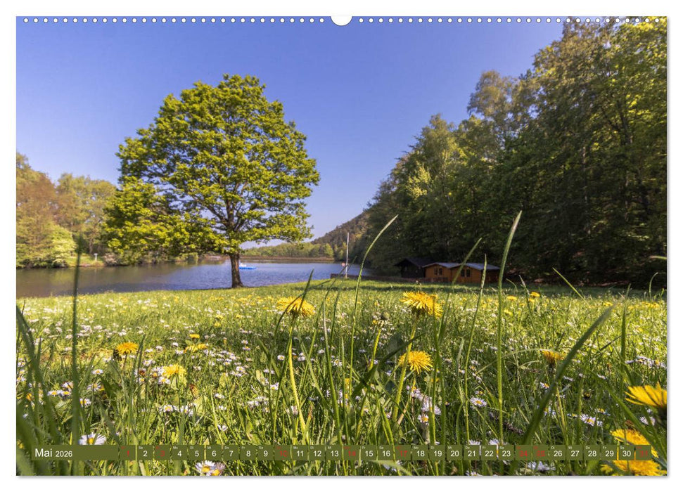Ein Sommertag in Gernrode (CALVENDO Premium Wandkalender 2026)