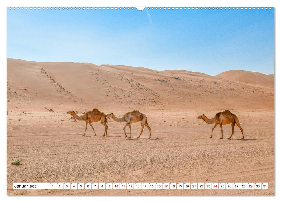 Oman - Perle des Orients (CALVENDO Premium Wandkalender 2026)