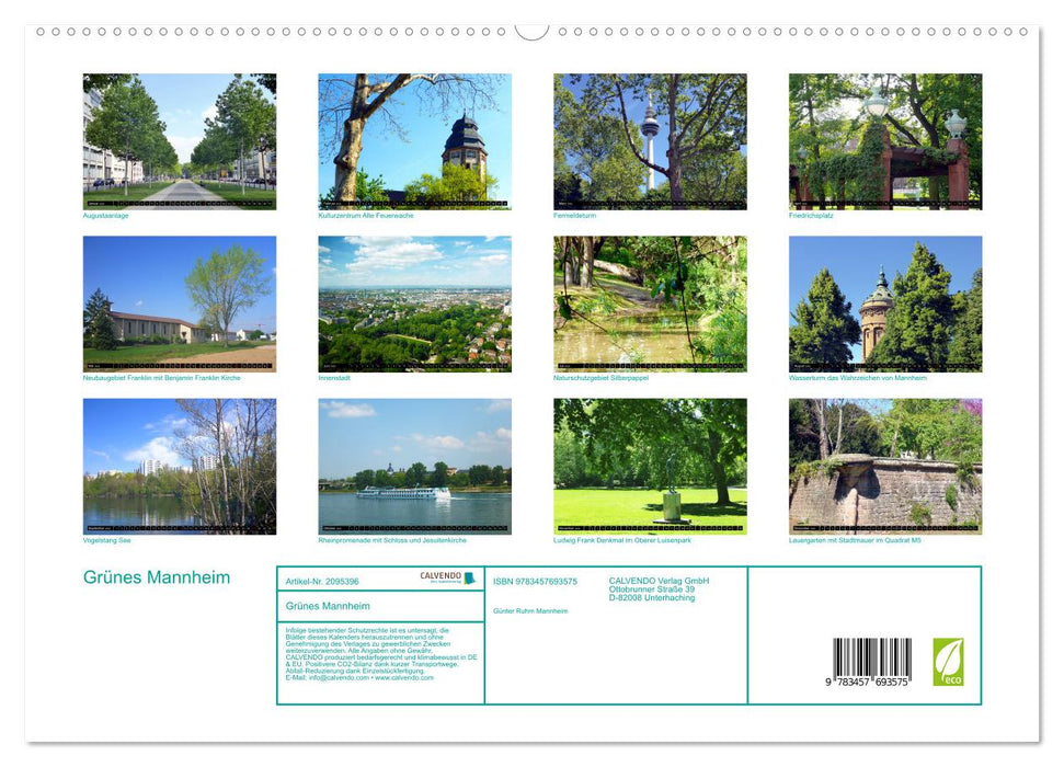 Grünes Mannheim (CALVENDO Premium Wandkalender 2026)