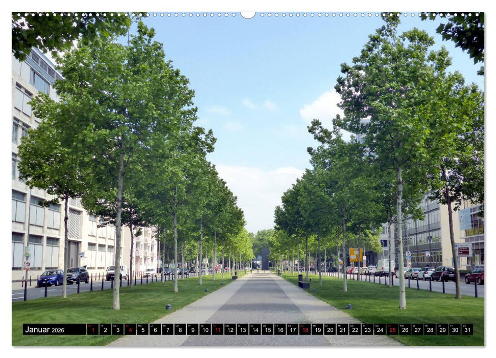 Grünes Mannheim (CALVENDO Premium Wandkalender 2026)