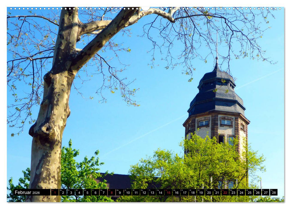 Grünes Mannheim (CALVENDO Premium Wandkalender 2026)