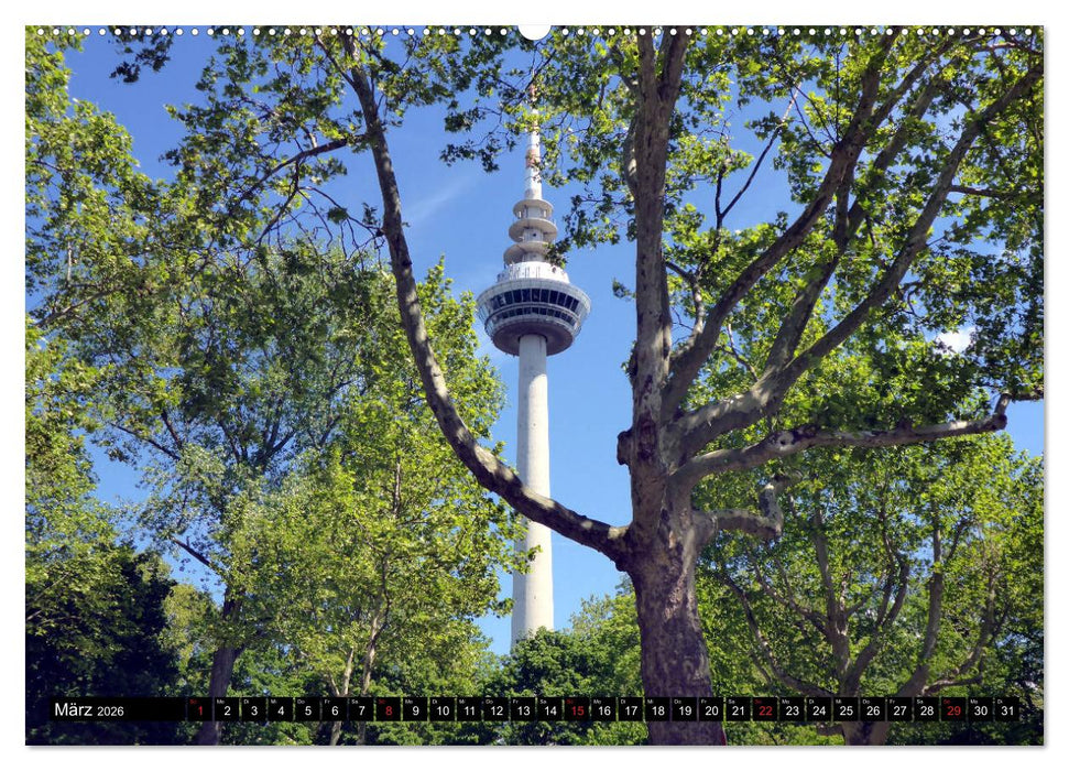 Grünes Mannheim (CALVENDO Premium Wandkalender 2026)