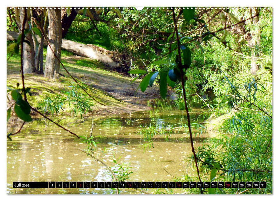 Grünes Mannheim (CALVENDO Premium Wandkalender 2026)