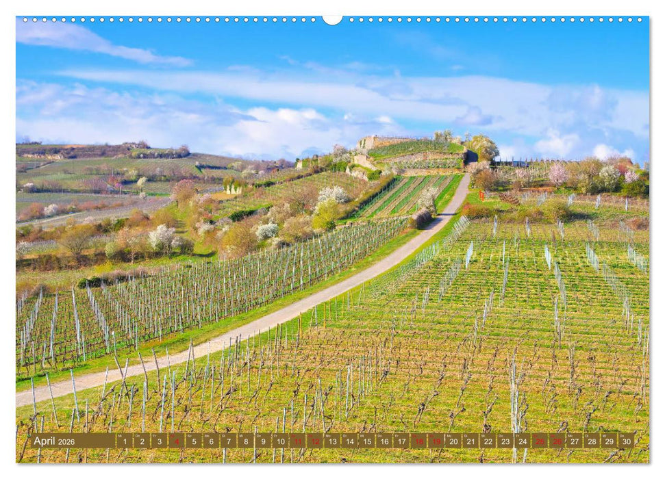 Mandelblütenzauber an der Deutschen Weinstraße (CALVENDO Premium Wandkalender 2026)