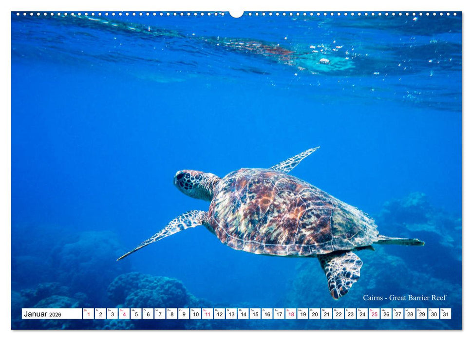 Australien Ostküste - von Cairns nach Sydney (CALVENDO Premium Wandkalender 2026)