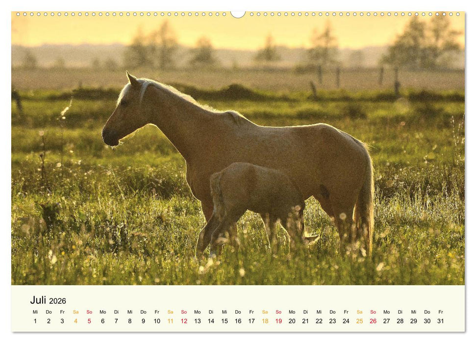 Bremen-Blockland (CALVENDO Premium Wandkalender 2026)