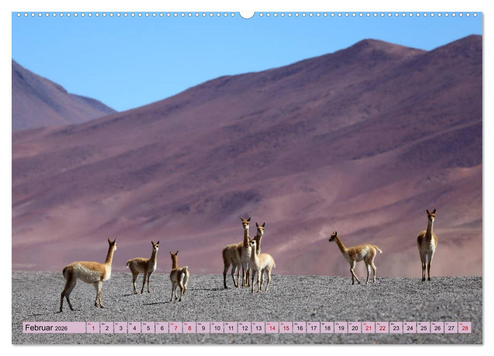 ATACAMA Wunder der Natur (CALVENDO Premium Wandkalender 2026)