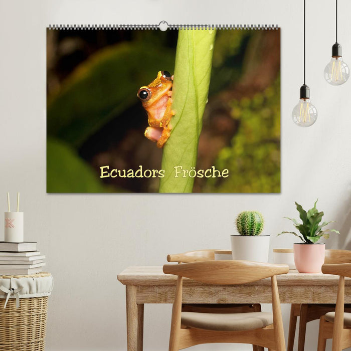 Ecuadors Frösche (CALVENDO Wandkalender 2026)