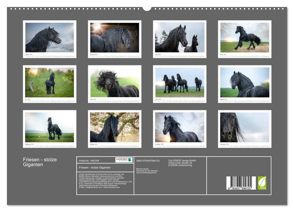 Friesen - stolze Giganten (CALVENDO Premium Wandkalender 2026)
