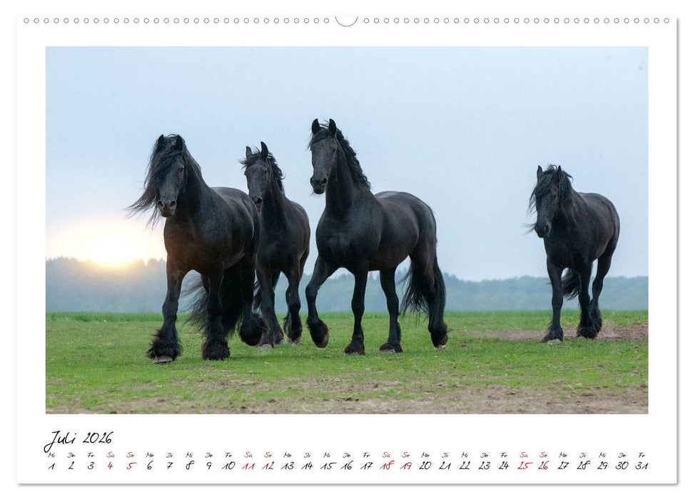 Friesen - stolze Giganten (CALVENDO Premium Wandkalender 2026)