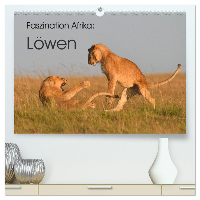 Faszination Afrika: Löwen (CALVENDO Premium Wandkalender 2026)
