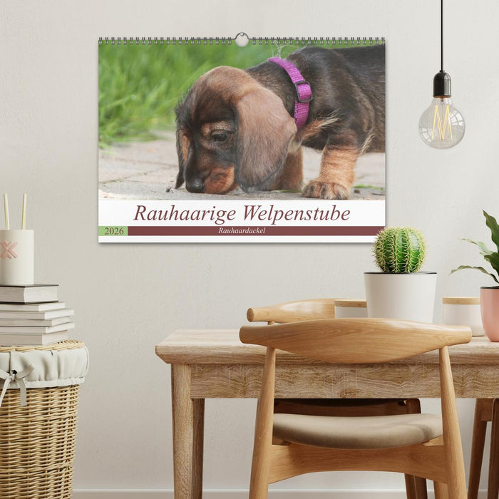 Rauhaarige Welpenstube (CALVENDO Wandkalender 2026)