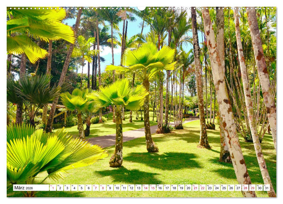 Karibische Momente - Eine Reise ins tropische Paradies (CALVENDO Premium Wandkalender 2026)