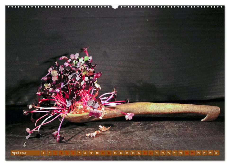 Küchenkräuter Nostalgie (CALVENDO Premium Wandkalender 2026)