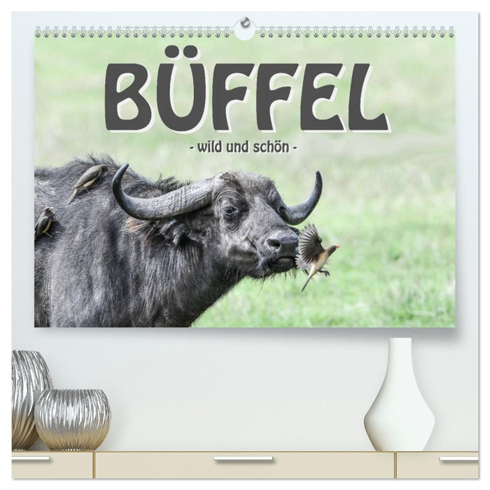 Büffel - wild und schön (CALVENDO Premium Wandkalender 2026)