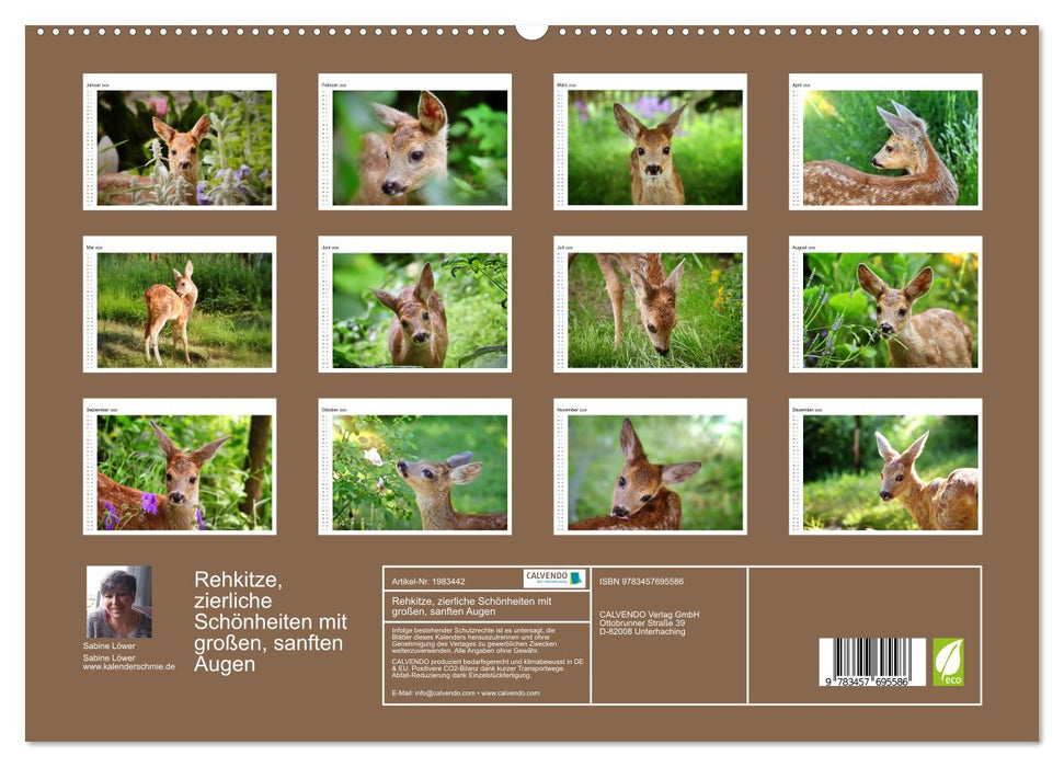 Rehkitze, zierliche Schönheiten mit großen, sanften Augen (CALVENDO Premium Wandkalender 2026)