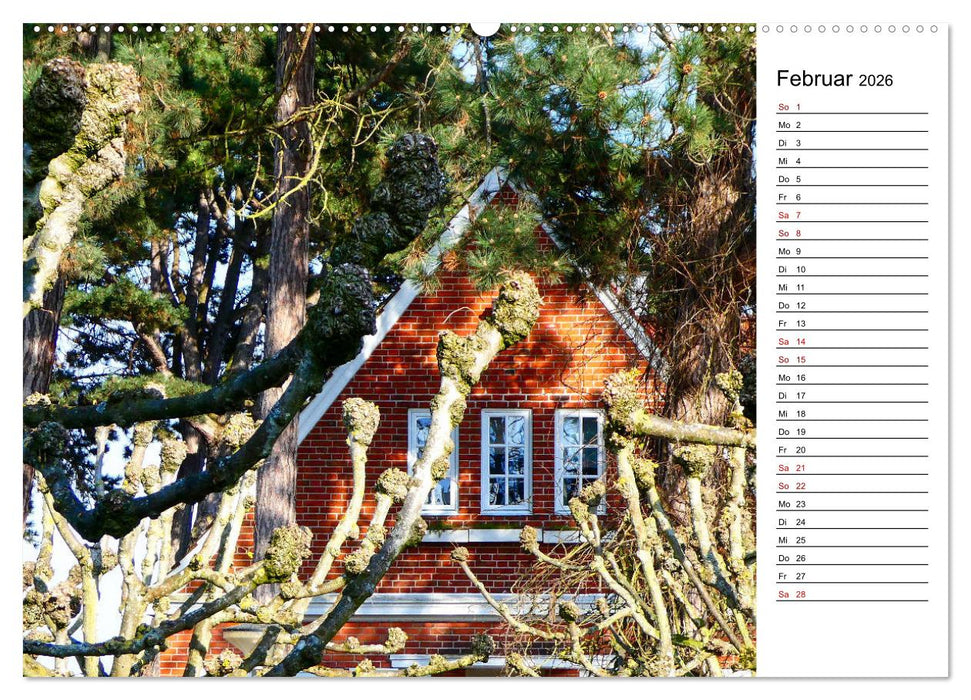 Travemünder Durchblicke (CALVENDO Premium Wandkalender 2026)