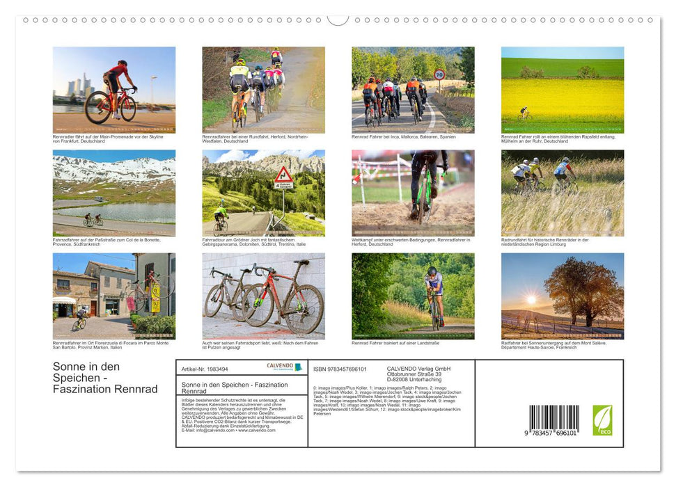Sonne in den Speichen - Faszination Rennrad (CALVENDO Wandkalender 2026)
