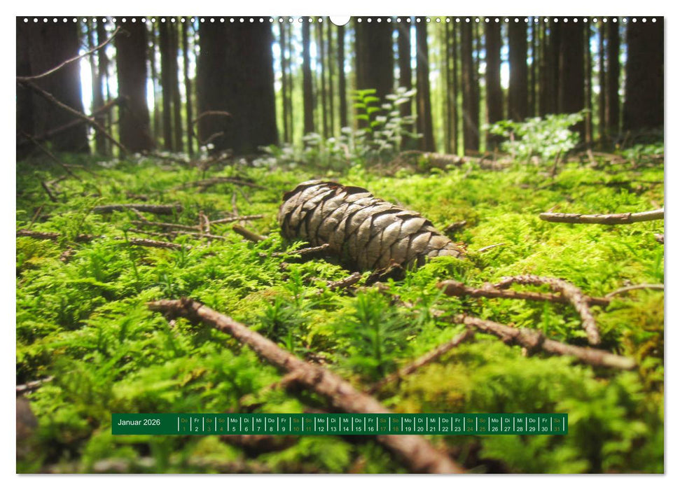 Unterwegs im Deister (CALVENDO Premium Wandkalender 2026)