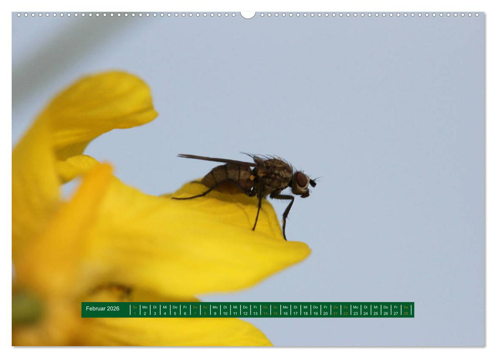 Unterwegs im Deister (CALVENDO Premium Wandkalender 2026)