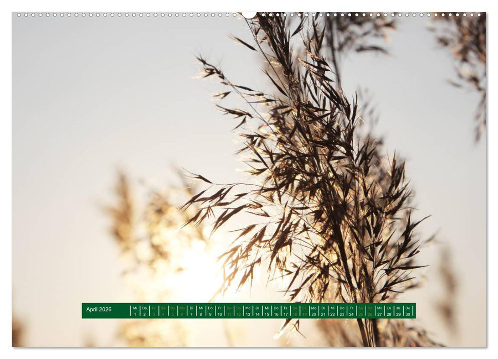 Unterwegs im Deister (CALVENDO Premium Wandkalender 2026)