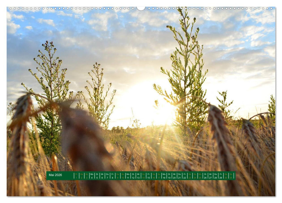 Unterwegs im Deister (CALVENDO Premium Wandkalender 2026)