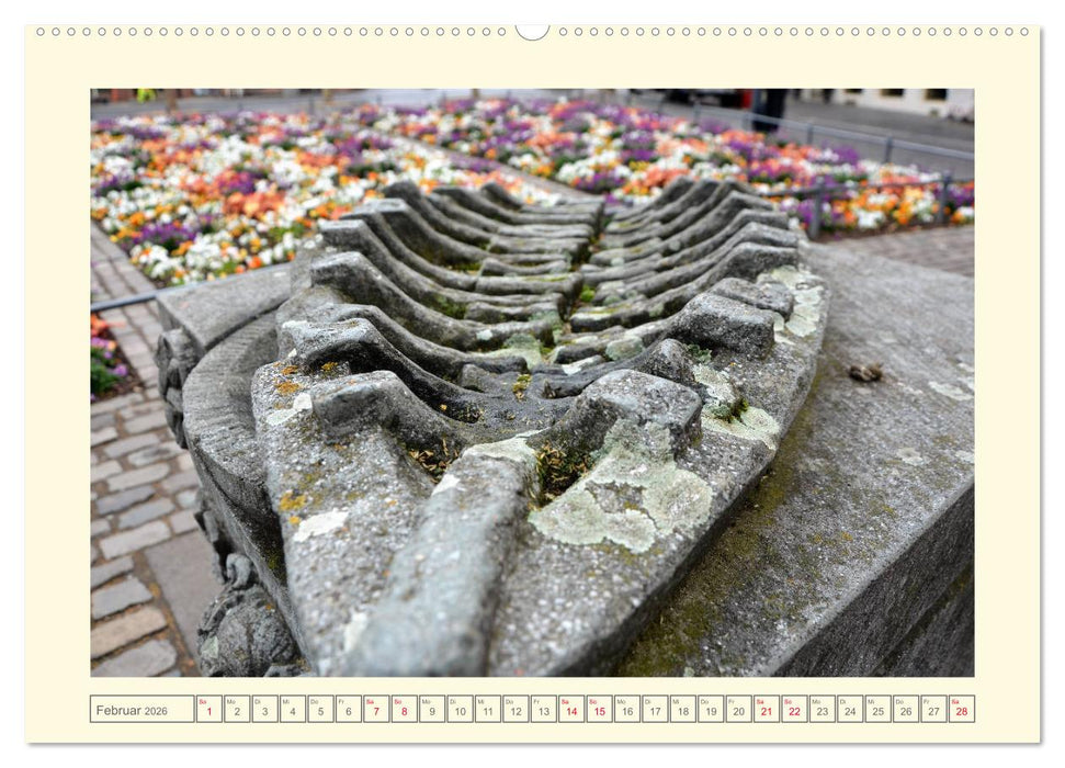 Mainz im Detail - Ungewöhnliche Stadtansichten (CALVENDO Premium Wandkalender 2026)