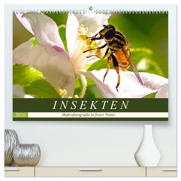 INSEKTEN - Makrofotografie in freier Natur (CALVENDO Premium Wandkalender 2026)