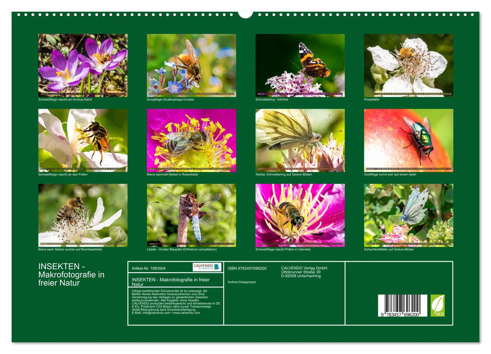 INSEKTEN - Makrofotografie in freier Natur (CALVENDO Premium Wandkalender 2026)