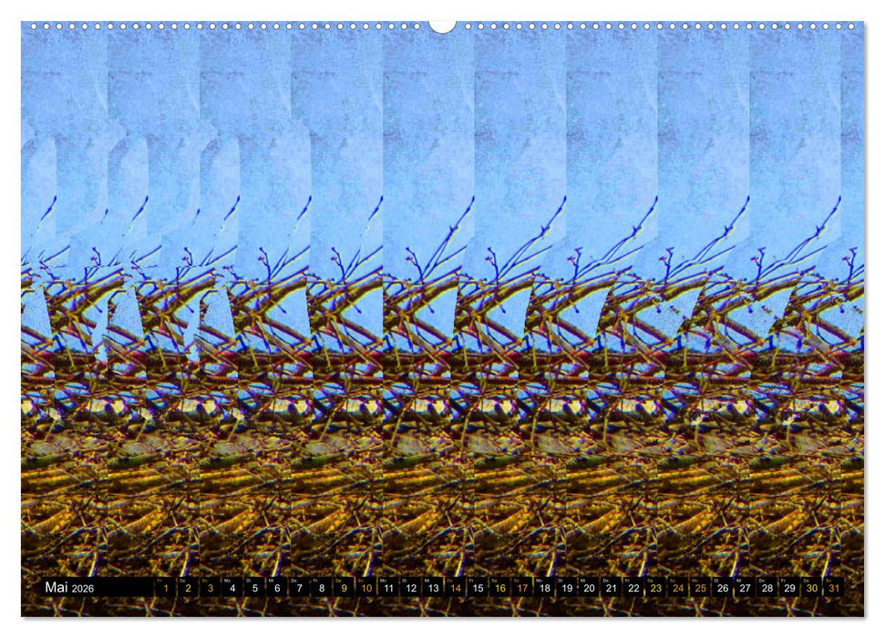 Magische Bilder - 3D Stereogramme (CALVENDO Wandkalender 2026)