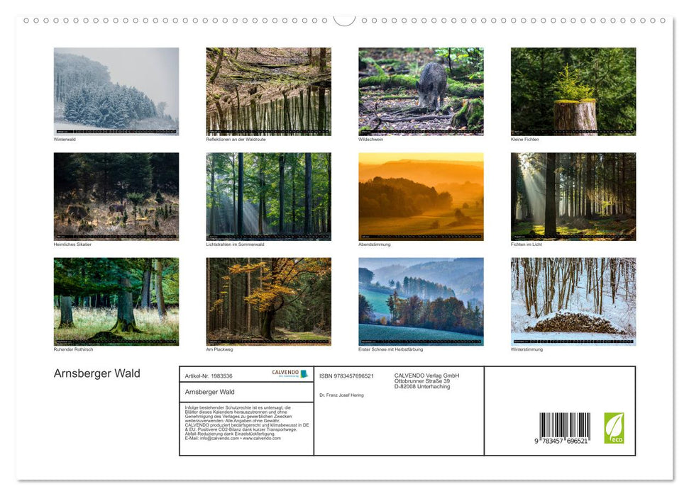 Arnsberger Wald (CALVENDO Premium Wandkalender 2026)