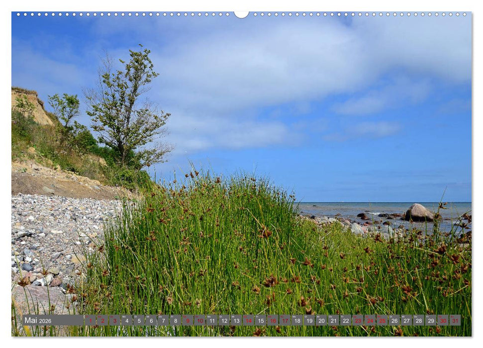 Zauberhaftes Boltenhagen (CALVENDO Premium Wandkalender 2026)