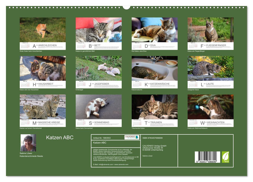 Katzen ABC (CALVENDO Premium Wandkalender 2026)