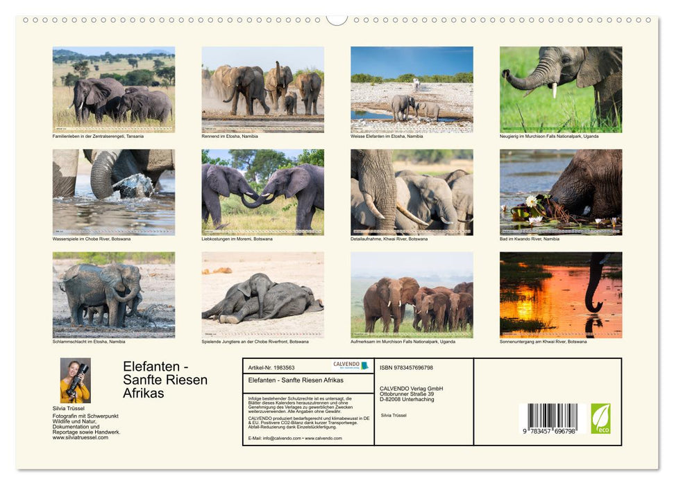Elefanten - Sanfte Riesen Afrikas (CALVENDO Premium Wandkalender 2026)