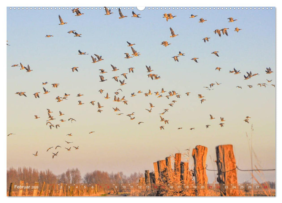 Nordrhein-Westfalen - Ein malerischer Spaziergang (CALVENDO Premium Wandkalender 2026)