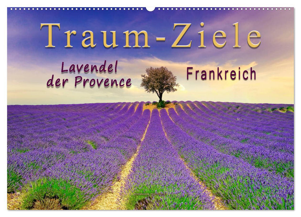 Traum-Ziele - Lavendel der Provence, Frankreich (CALVENDO Wandkalender 2026)