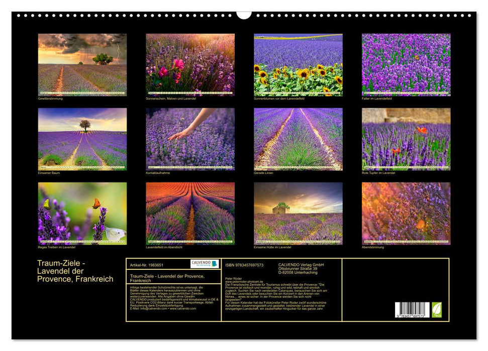 Traum-Ziele - Lavendel der Provence, Frankreich (CALVENDO Wandkalender 2026)