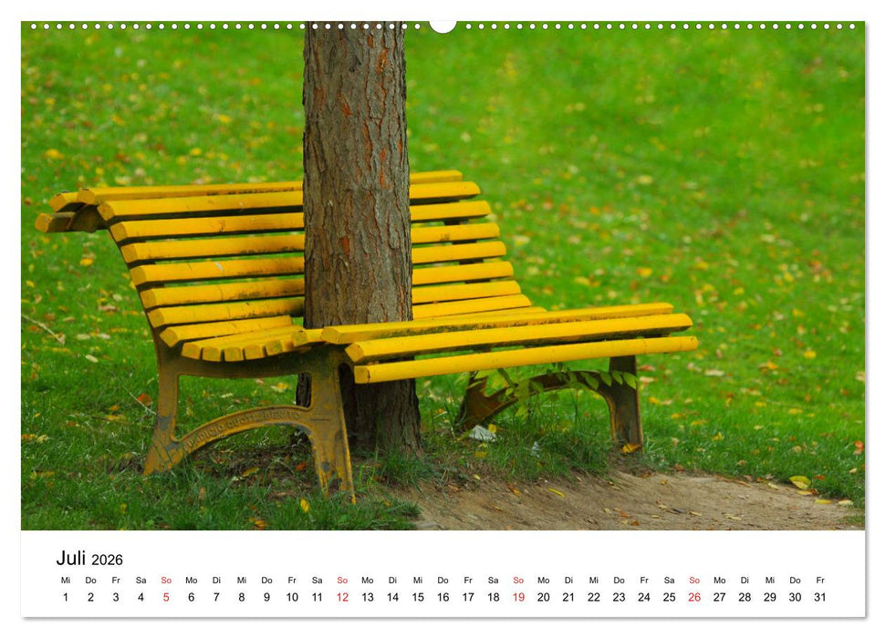 Wiesbaden Kunst in der Öffentlichkeit (CALVENDO Premium Wandkalender 2026)