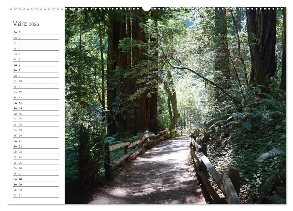 Kalifornien - wunderschöne Westküste (CALVENDO Premium Wandkalender 2026)