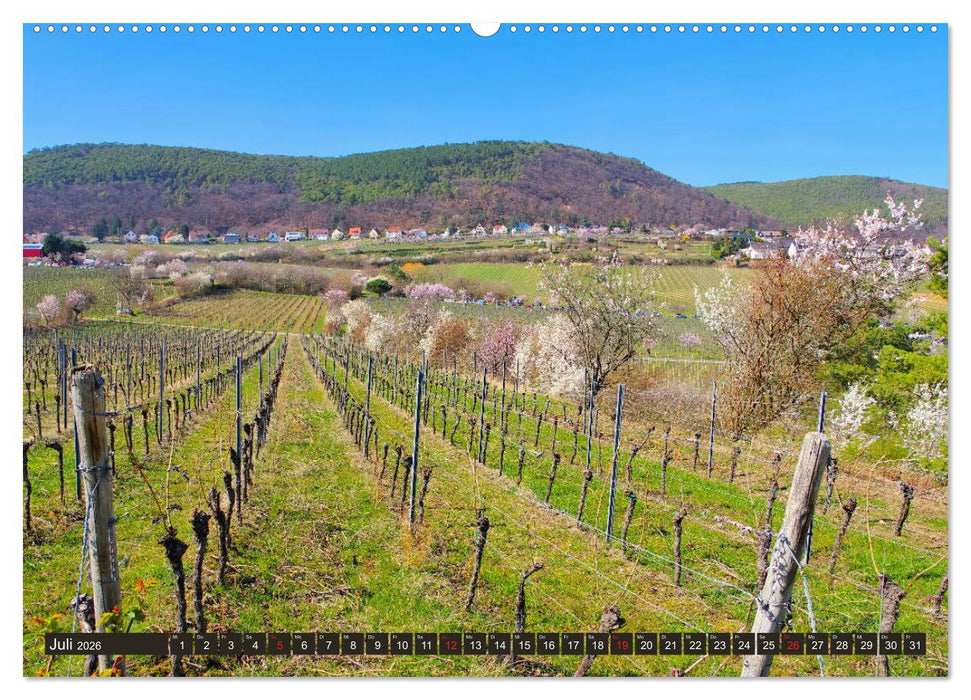 Gimmeldingen - Mandelblütenfest an der Deutschen Weinstraße (CALVENDO Premium Wandkalender 2026)
