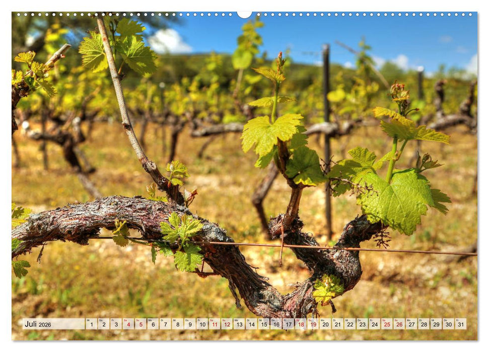 Provence - Magie des Lichtes (CALVENDO Premium Wandkalender 2026)