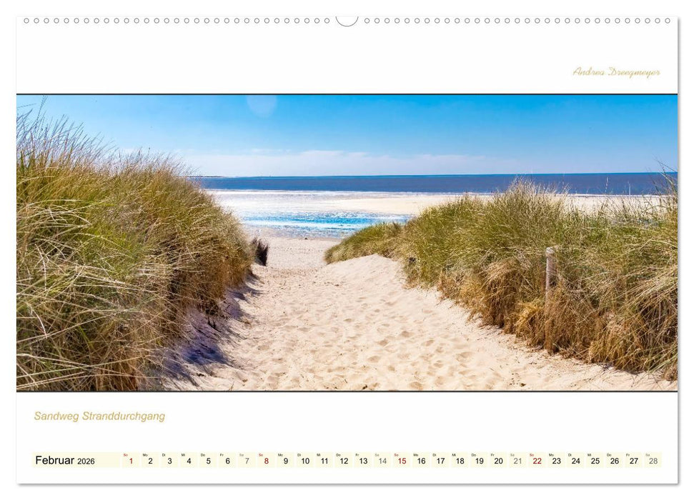 LANGEOOG PANORAMA (CALVENDO Premium Wandkalender 2026)