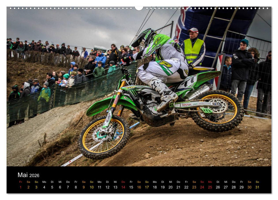 whip`s and scrub`s (CALVENDO Premium Wandkalender 2026)