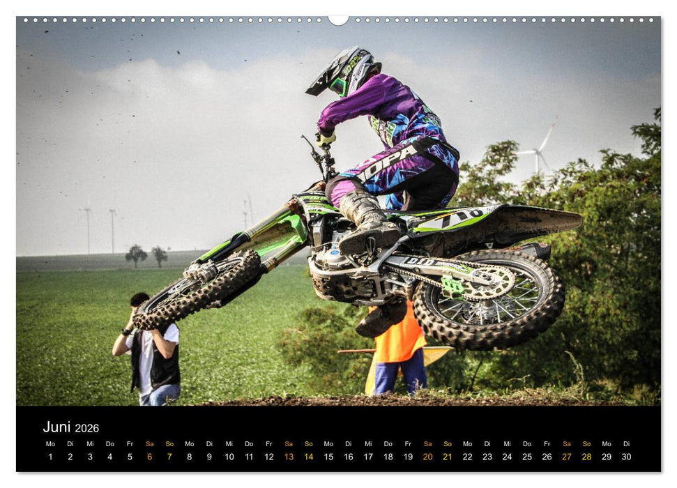 whip`s and scrub`s (CALVENDO Premium Wandkalender 2026)