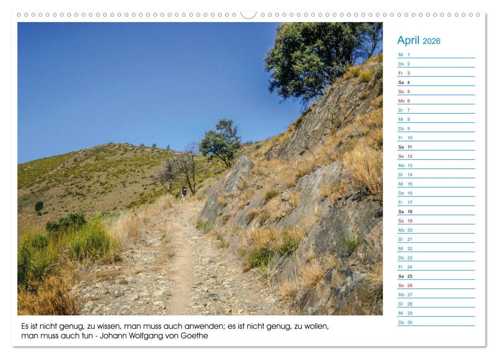 Mein Weg nach Santiago de Compostela mit Zitaten (CALVENDO Premium Wandkalender 2026)