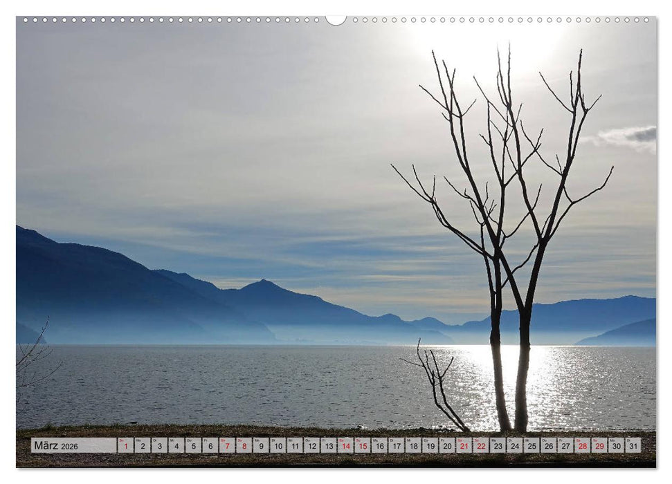 Mit Bäumen durchs Jahr (CALVENDO Premium Wandkalender 2026)